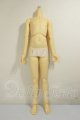 画像: SD13BOY/ボディ A-26-06-02-301-NY-ZA