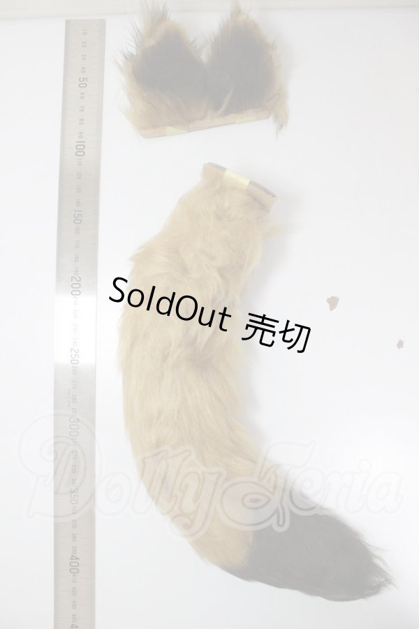 画像2: MDD/狐耳・尻尾 A-26-05-19-147-NY-ZA (2)