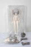 画像2: 造物の心：終末の祝福/真理 A-26-05-19-334-NY-ZA (2)