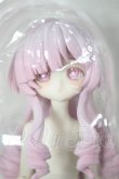 画像1: パラドックス・ワールドシリーズ ドール スペシャルデザイン シュレーディンガーの猫 A-26-05-19-337-NY-ZA (1)