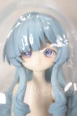 画像1: パラドックスワールド/シュレーディンガーの猫（ノーマル） A-26-05-19-338-NY-ZA (1)