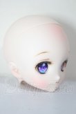 画像3: DDH-27/Picot＊Rabbit様カスタム A-26-05-19-263-NY-ZA (3)