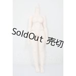 画像: dollbot/DBC クラシックボディPLUS プラチナ肌・高可動タイプ A-26-05-19-330-YB-ZA