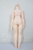 画像2: dollbot/DBC クラシックボディPLUS プラチナ肌・高可動タイプ A-26-05-19-330-YB-ZA (2)