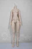画像1: DD/ベースボディIII A-26-05-19-331-YB-ZA (1)