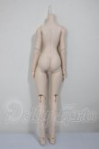 画像2: DD/ベースボディIII A-26-05-19-331-YB-ZA (2)