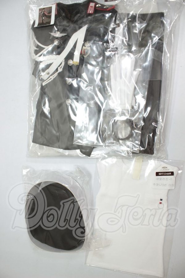 画像1: SD17B/OF:衣装セット A-26-05-26-237-NY-ZA (1)
