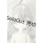画像: 造物の心/雛菊 A-26-05-26-211-NY-ZA