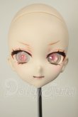 画像1: DD/DDH-10 カスタムヘッド A-26-05-26-214-NY-ZA (1)
