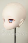 画像3: DD/DDH-29:カスタムヘッド A-26-05-26-212-NY-ZA (3)