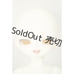 画像: MayDoll/人間タイプ・れもん猫・薮猫ヘッド A-26-05-26-352-NY-ZA