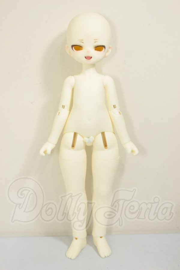 画像4: MayDoll/人間タイプ・れもん猫・薮猫ヘッド A-26-05-26-352-NY-ZA (4)