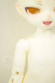 画像5: MayDoll/人間タイプ・れもん猫・薮猫ヘッド A-26-05-26-352-NY-ZA (5)