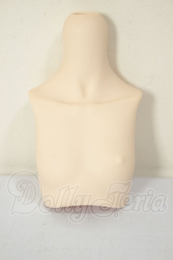 画像1: MDD/上半身パーツ A-26-05-26-389-NY-ZA (1)