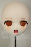 画像1: DD/DDH-01 カスタムヘッド A-26-06-02-172-NY-ZA (1)