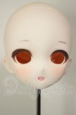 画像1: DD/DDH-10:カスタムヘッド A-26-06-02-170-NY-ZA (1)
