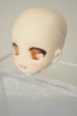 画像3: DOLLCE/DC11-06　ヘッド A-26-06-02-200-NY-ZA (3)