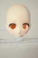 画像: DOLLCE/DC11-02　ヘッド A-26-06-02-199-NY-ZA
