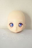 画像1: DOLLCE/DC11-02　ヘッド A-26-06-02-216-NY-ZA (1)