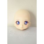 画像: DOLLCE/DC11-02 ヘッド A-26-06-02-216-NY-ZA