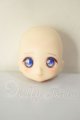 画像: DOLLCE/DC11-02　ヘッド A-26-06-02-216-NY-ZA