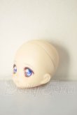 画像2: DOLLCE/DC11-02　ヘッド A-26-06-02-216-NY-ZA (2)