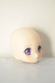 画像3: DOLLCE/DC11-02　ヘッド A-26-06-02-216-NY-ZA (3)