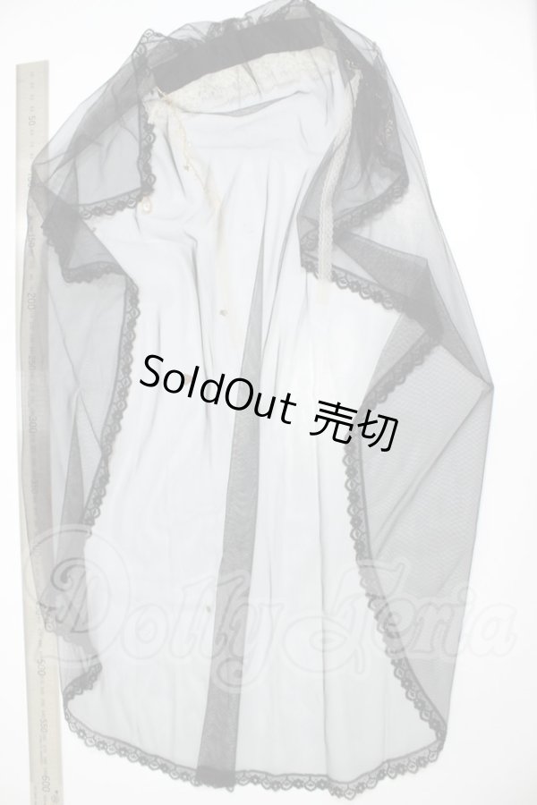 画像2: SD/OF:Holy Oath ウェディングヘアバンド:MELODY.C様製 A-26-06-02-340-NY-ZA (2)