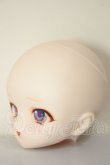 画像2: DD/DDH-01 カスタムヘッド A-26-06-02-214-NY-ZA (2)