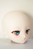 画像3: DD/DDH-29カスタムヘッド A-26-06-02-209-NY-ZA (3)