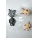 画像: CAPSULEDOLL 2体 A-26-06-08-227-NY-ZA