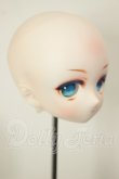 画像2: DD/DDH-01 カスタムヘッド A-26-06-08-243-NY-ZA (2)