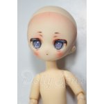 画像: ピコニーモPボディ/parabox ヒカリ カスタムヘッド A-26-06-08-273-NY-ZA