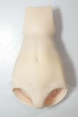 画像1: MDD/下半身パーツ A-26-06-08-168-NY-ZA (1)