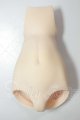 画像: MDD/下半身パーツ A-26-06-08-168-NY-ZA