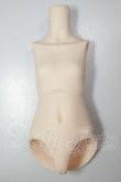 画像1: MDD/上半身・下半身パーツ A-26-06-08-170-NY-ZA (1)