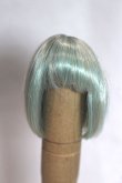画像1: 4inch/ウィッグ A-26-06-15-037-NY-ZA (1)