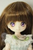画像1: オビツ11ボディ/DOLLCE：DC11-04カスタムヘッド A-26-06-08-225-NY-ZA (1)