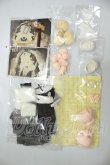 画像3: ルナに捧ぐ/修女 A-26-06-08-215-NY-ZA (3)