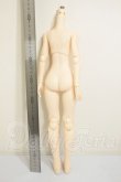 画像2: AZONE/AZT8-45ボディ(Sバスト) A-26-06-15-102-NY-ZA (2)