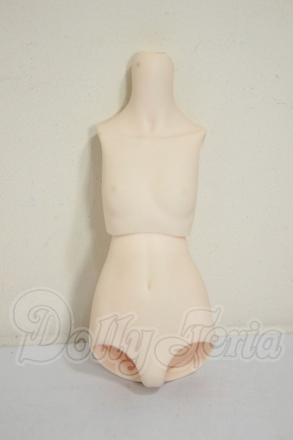 画像1: MDD/上半身・下半身　外皮パーツ A-26-06-15-124-NY-ZA (1)