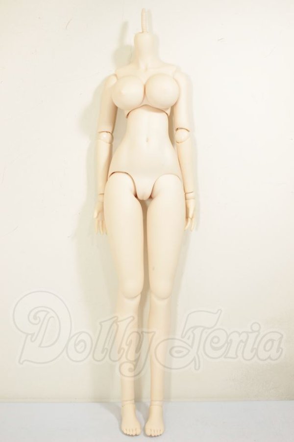 画像1: DDS/ベースボディ(DD-f3) A-26-06-15-262-NY-ZA (1)