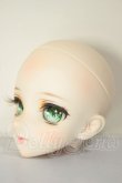 画像2: DD/DDH-09  A-26-06-15-261-NY-ZA (2)