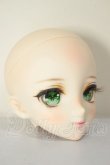 画像3: DD/DDH-09  A-26-06-15-261-NY-ZA (3)