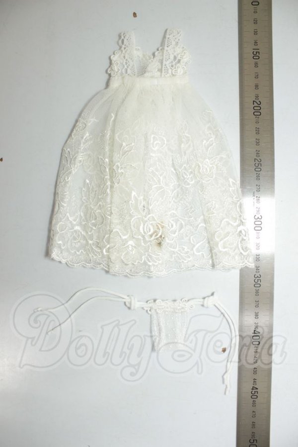 画像2: MDD/下着　RoseLapin様製 A-26-06-15-271-NY-ZA (2)