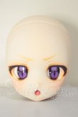 画像1: DDH-27/カスタムヘッド A-26-06-15-244-NY-ZA (1)
