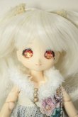 画像1: DOLLCE/ミニスウィーツドール:シナモン A-26-06-15-228-NY-ZA (1)
