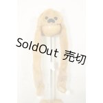 画像: MDD/OF:帽子 A-26-06-15-288-NY-ZA