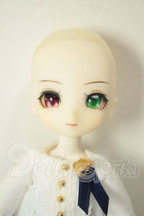 画像2: DOLLCE/ミニスウィーツドール：スノーアニス A-26-06-22-111-NY-ZA (2)