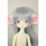 画像: 【DOLK×DOLL ZONE】Miss kitty - Nightingale ver. Limited <Special Reissue 2025> A-26-06-15-311-NY-ZA